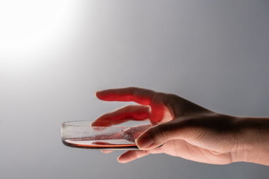 Nový průlom: Embrya vypěstovaná pro produkci krevních buněk