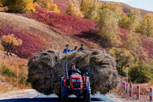 Čeští zemědělci proti Babišovi: Žádají Brusel o změnu v dotacích