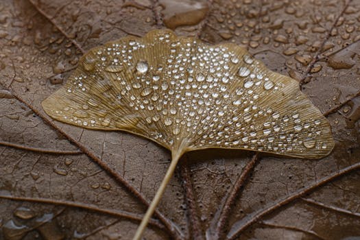 Česko po tragédii: Jak se změnily univerzity a bezpečnost?