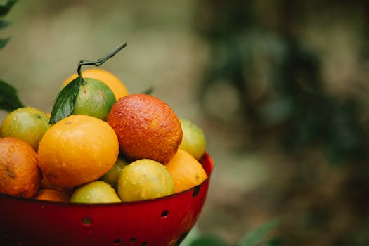 Mrazivé Noci Přicházejí: Teploty Klesnou až k -16°C!