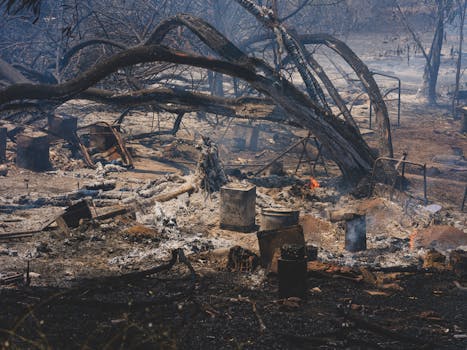 Írán v krizi: 648 mrtvých v důsledku brutálních protestů