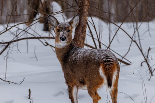 Kladno čelí změně dodavatele tepla: Co to znamená pro obyvatele?