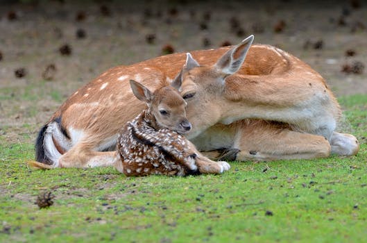 Ministr Klempíř boural, politici na rybách: Co to znamená pro ČR?