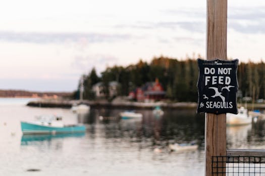 Proč Češi Raději Vyhýbají Cestám na Blízký Východ v 2024?